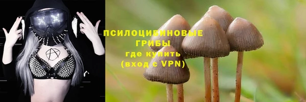 гидра Балахна