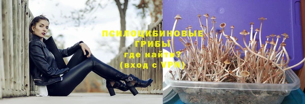гидра Балахна