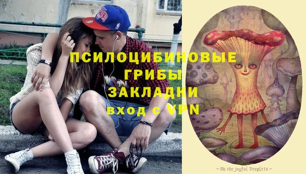 гидра Балахна